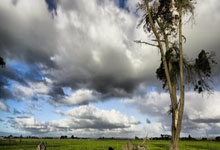 内马尔真的扛着孱弱的桑巴军团走了十年吗.